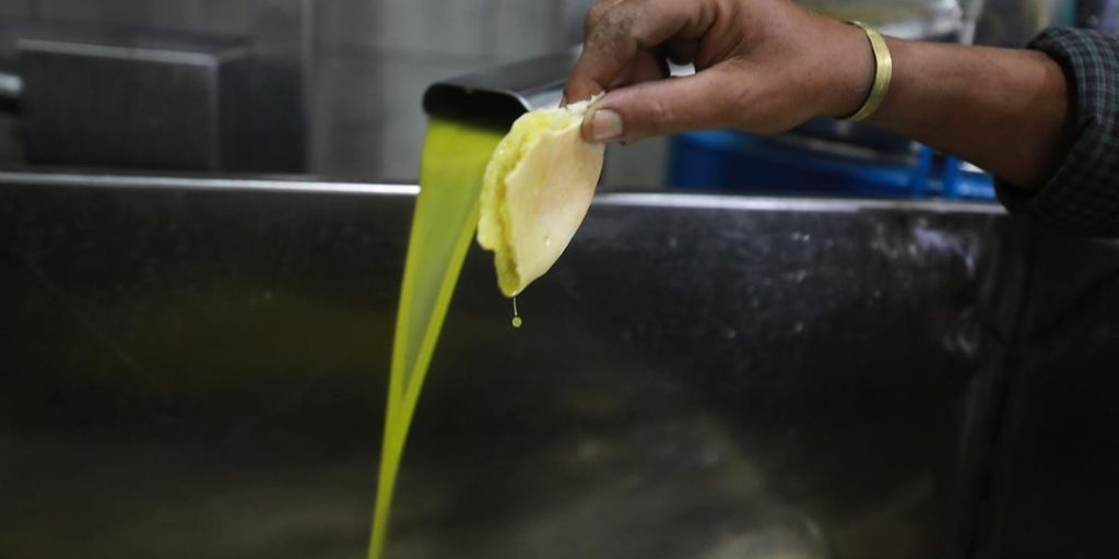 olive oil production in scenic Mediterranean landscape