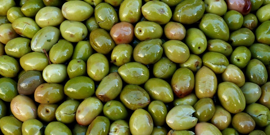 Mediterranean olive oil bottle with fresh olives and herbs